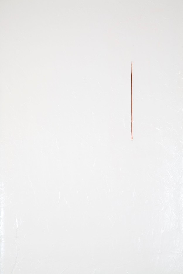 Pintura b(v)asta 2 deltalle frontal